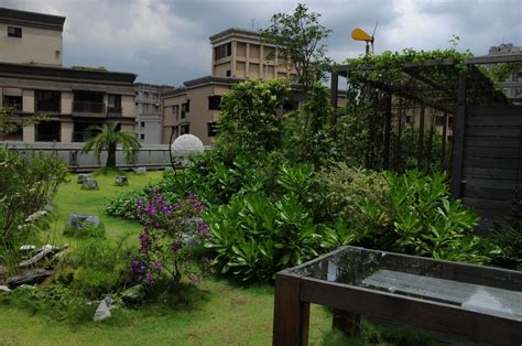 庭園景觀植物|好種又省錢！50種最適合屋頂園藝的臺灣原生植物大公。